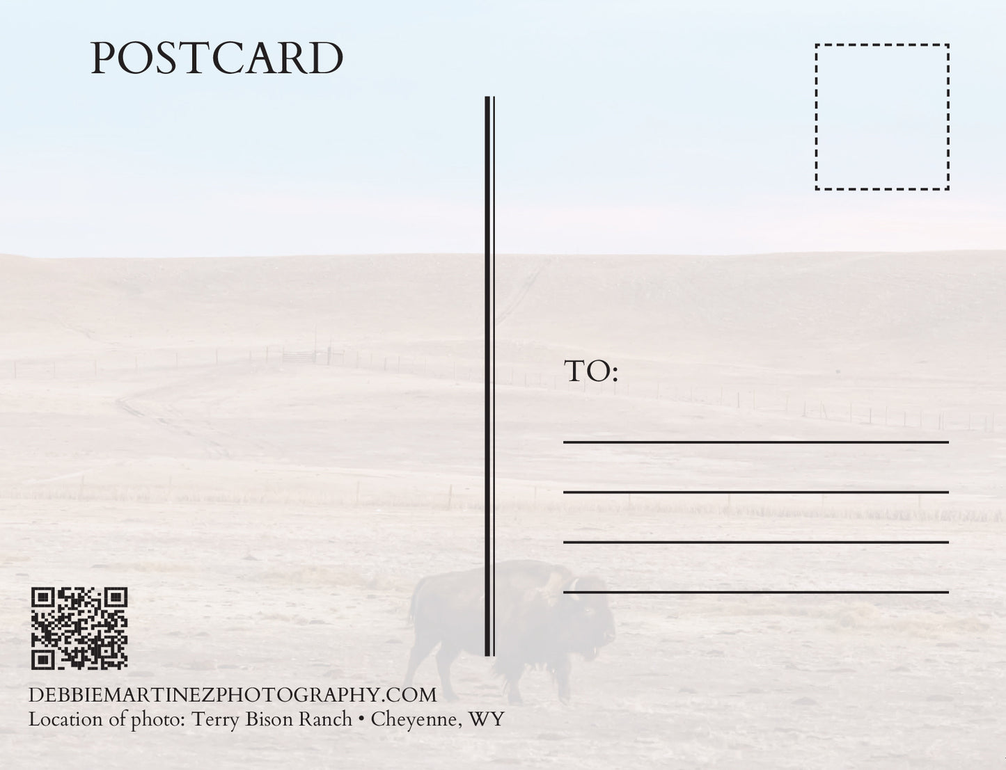 Bison at Pink Sunset Postcard - Terry Bison Ranch
