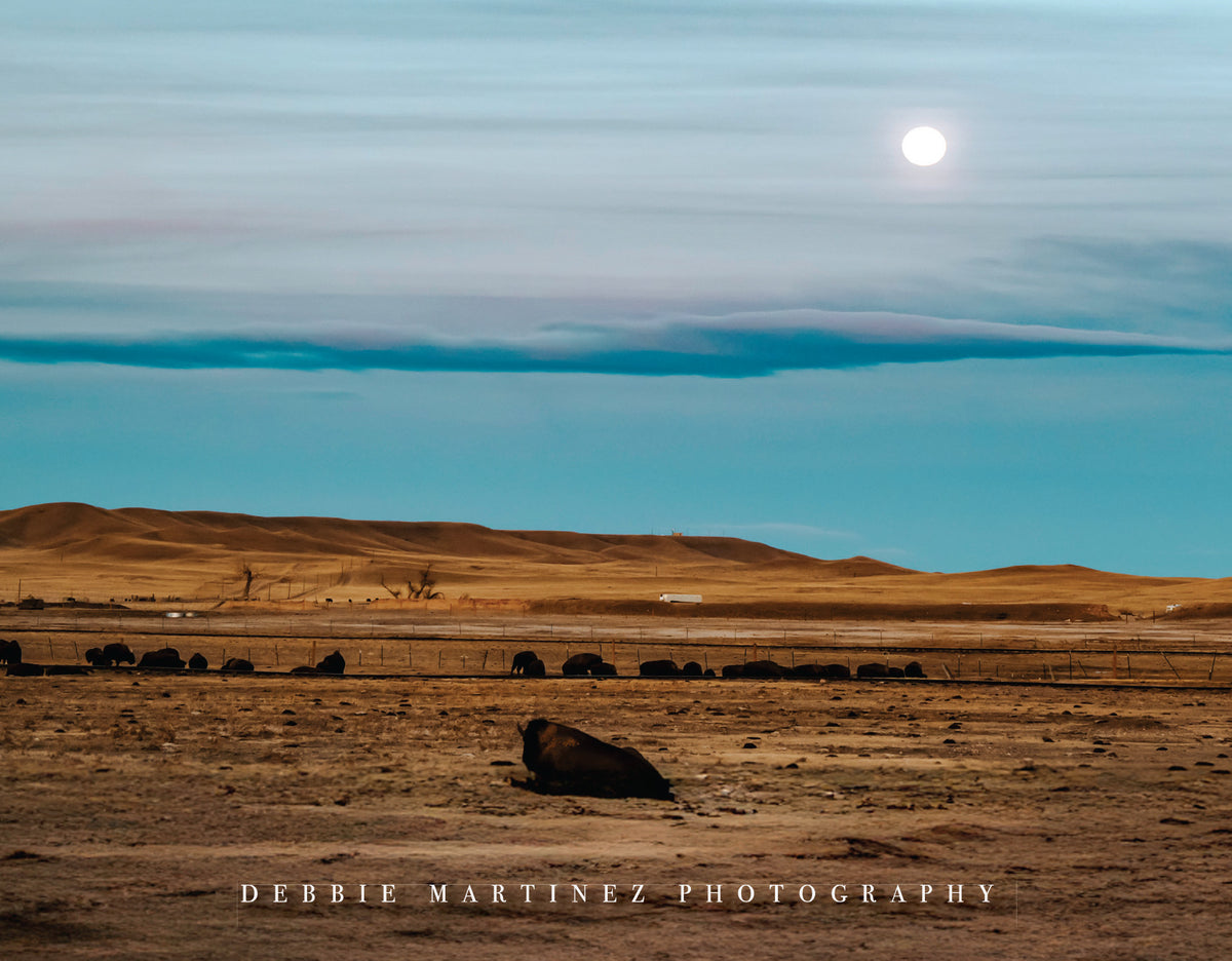 Debbie Martinez Photography – Store Gift Card