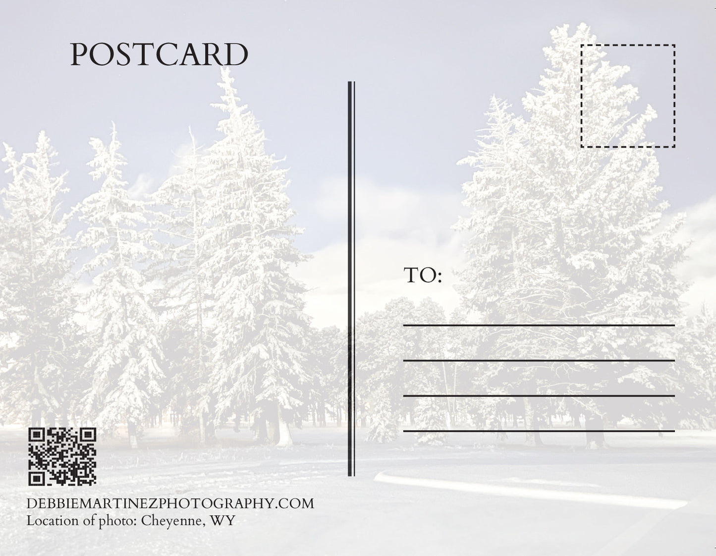 Snowy Evergreens at Twilight Postcard - Cheyenne