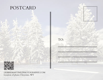 Snowy Evergreens at Twilight Postcard - Cheyenne