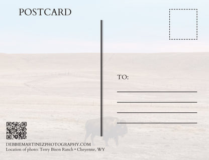 Bison at Pink Sunset Postcard - Terry Bison Ranch