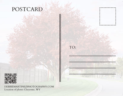 Crimson Crabapple Tree Postcard - Cheyenne