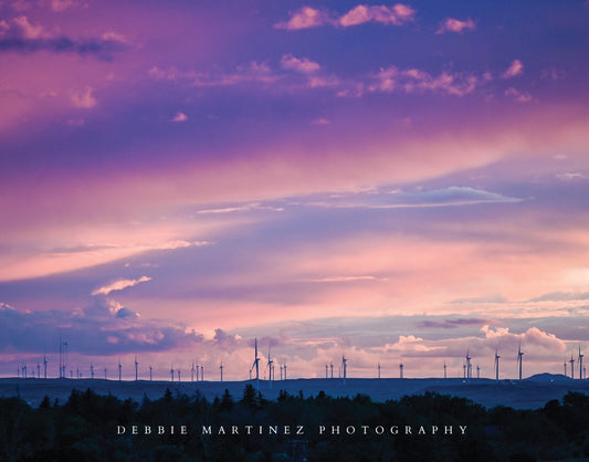 Purple Sky Wind Turbines Postcard - Cheyenne