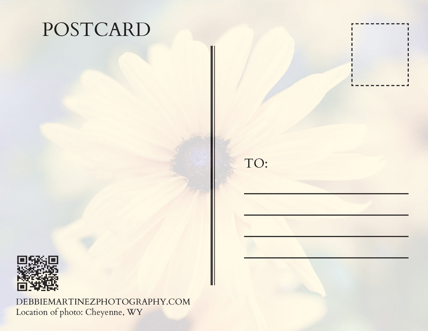 Golden Black-Eyed Susan Postcard - Cheyenne