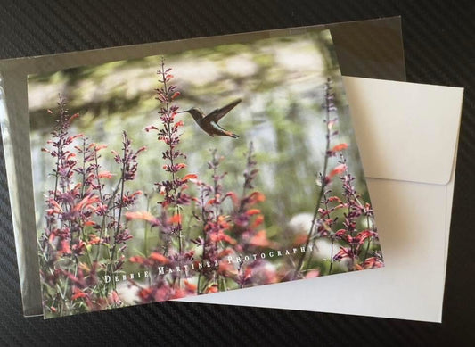 Hummingbird in Flight Notecard – Cheyenne Botanic Garden, Wyoming