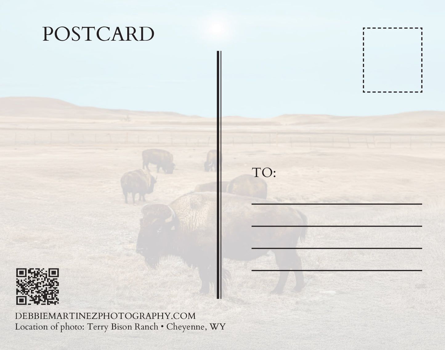 Bison Herd Under Full Moon Postcard - Terry Bison Ranch
