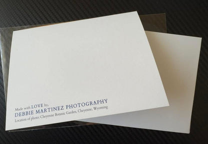 Black-Eyed Susan Notecard – Cheyenne Botanic Garden, Wyoming