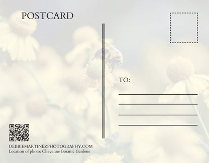 Bumblebee on Yellow Wildflowers Postcard - Cheyenne