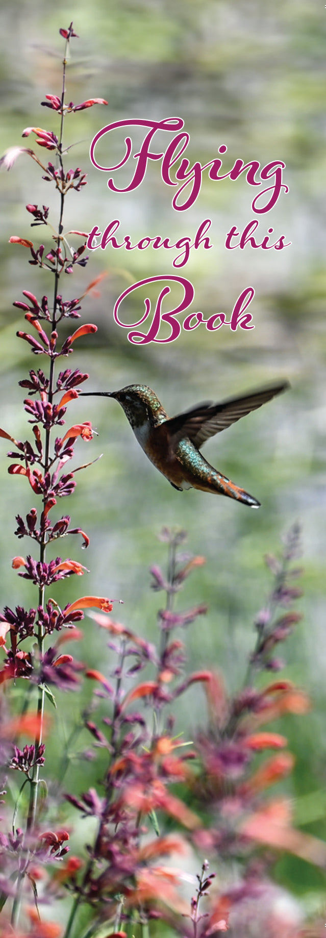 Flying Through This Book Hummingbird Bookmark – Cheyenne Botanic Gardens, Wyoming