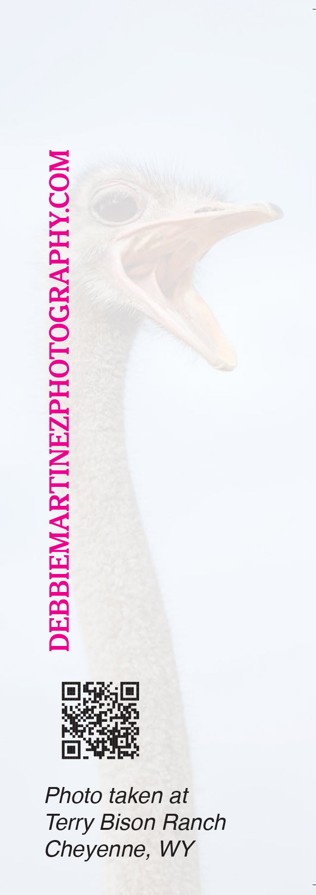 Quiet I'm Reading Ostrich Bookmark – Terry Bison Ranch, Cheyenne, Wyoming