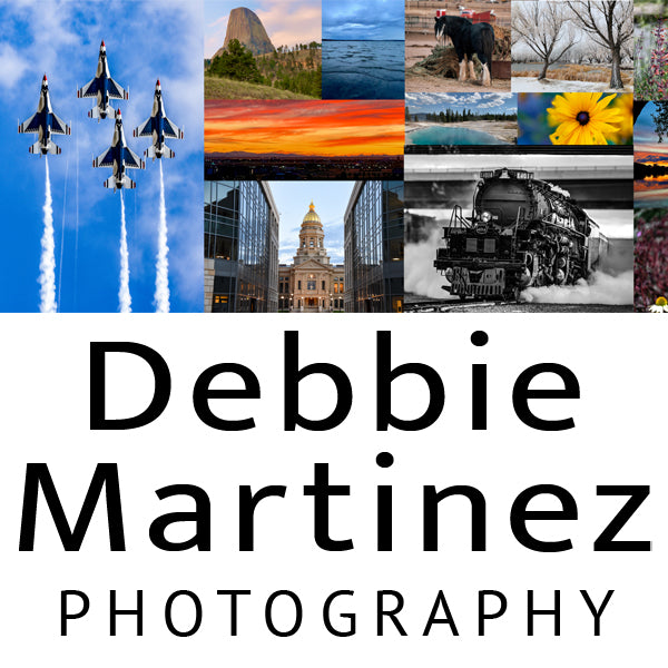 Debbie Martinez Photography – Store Gift Card