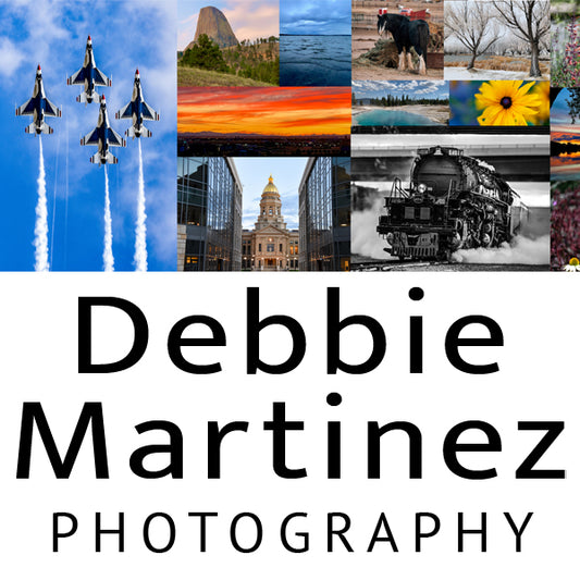 Debbie Martinez Photography – Photo Session Gift Card