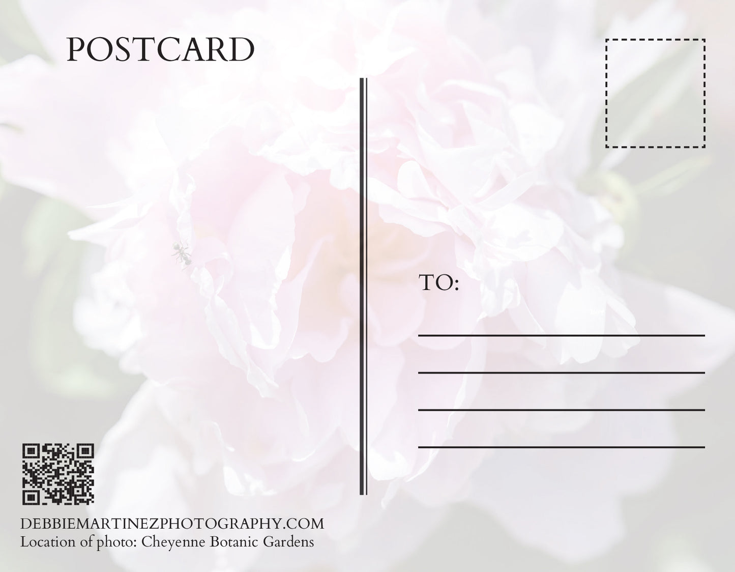 Pink Peony Postcard - Cheyenne Botanic Gardens