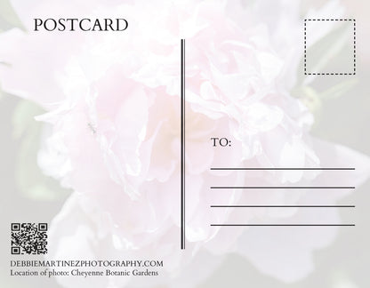 Pink Peony Postcard - Cheyenne Botanic Gardens